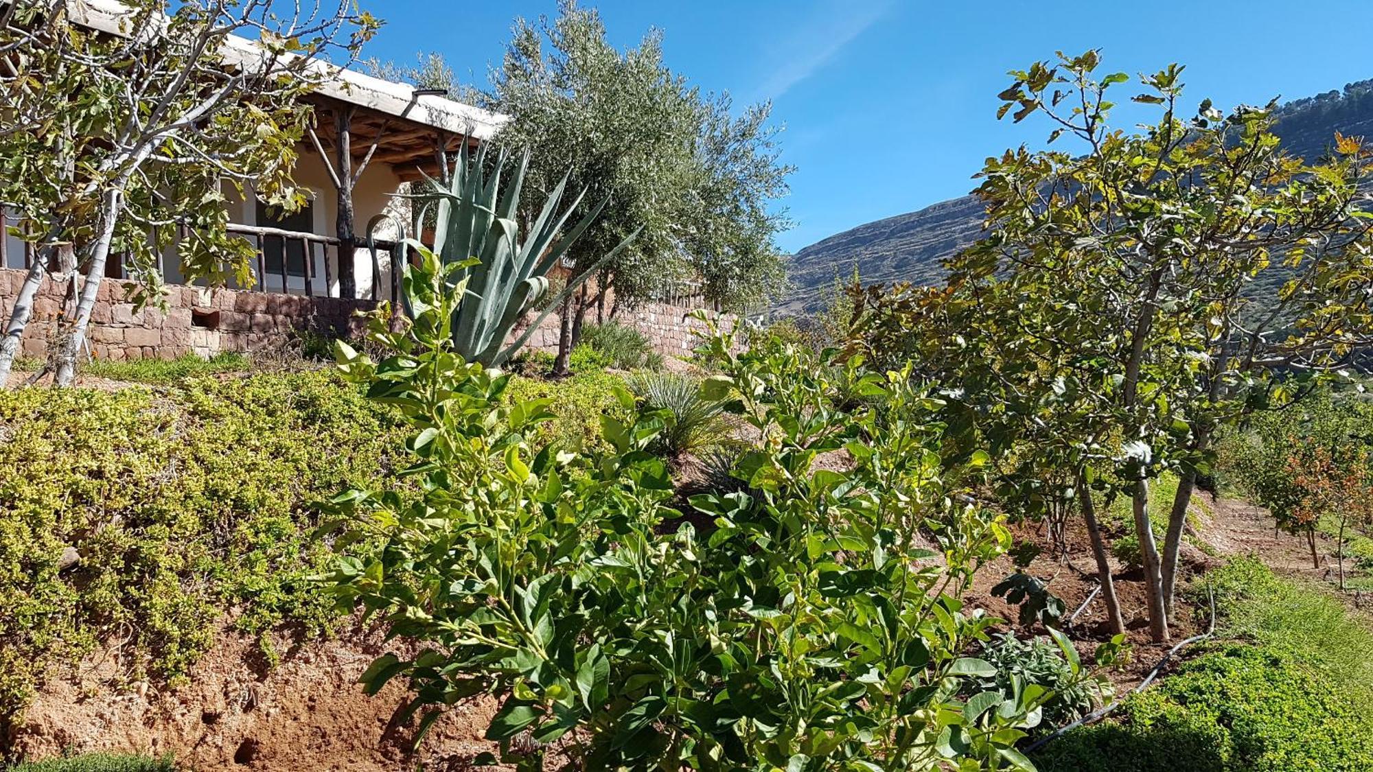Le Douar Berbere (Adults Only) Villa Ourika Ngoại thất bức ảnh